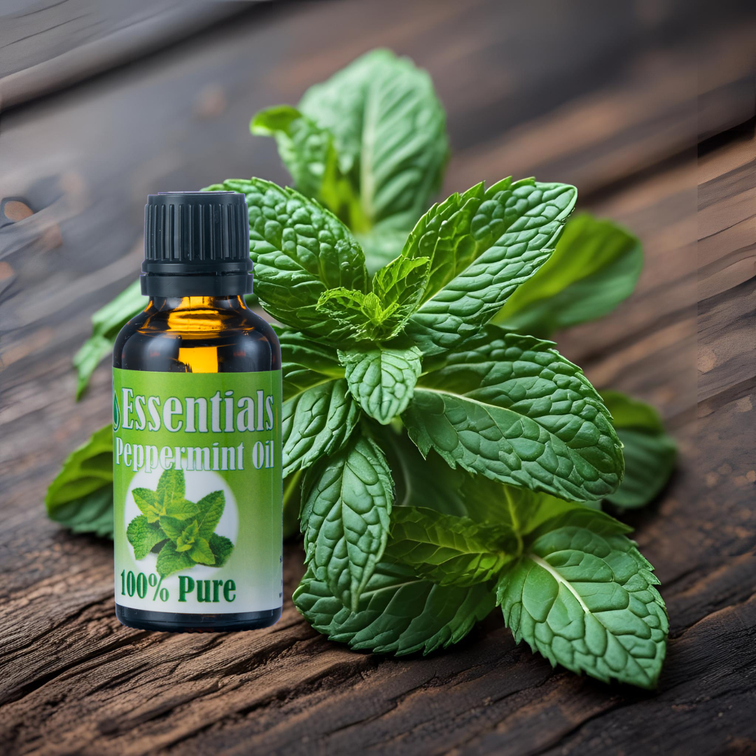 Essentials Peppermint Oil 30ml