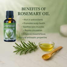 Load image into Gallery viewer, Essentials Rosemary Oil 30ml
