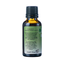 Load image into Gallery viewer, Essentials Eucalyptus Oil 30ml